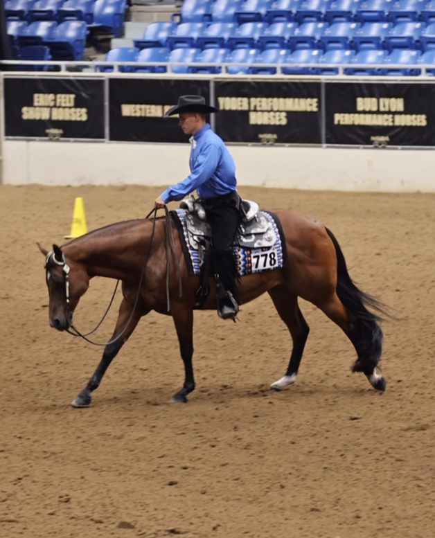 Western rider in a blue shirt on a bay horse in a show arena