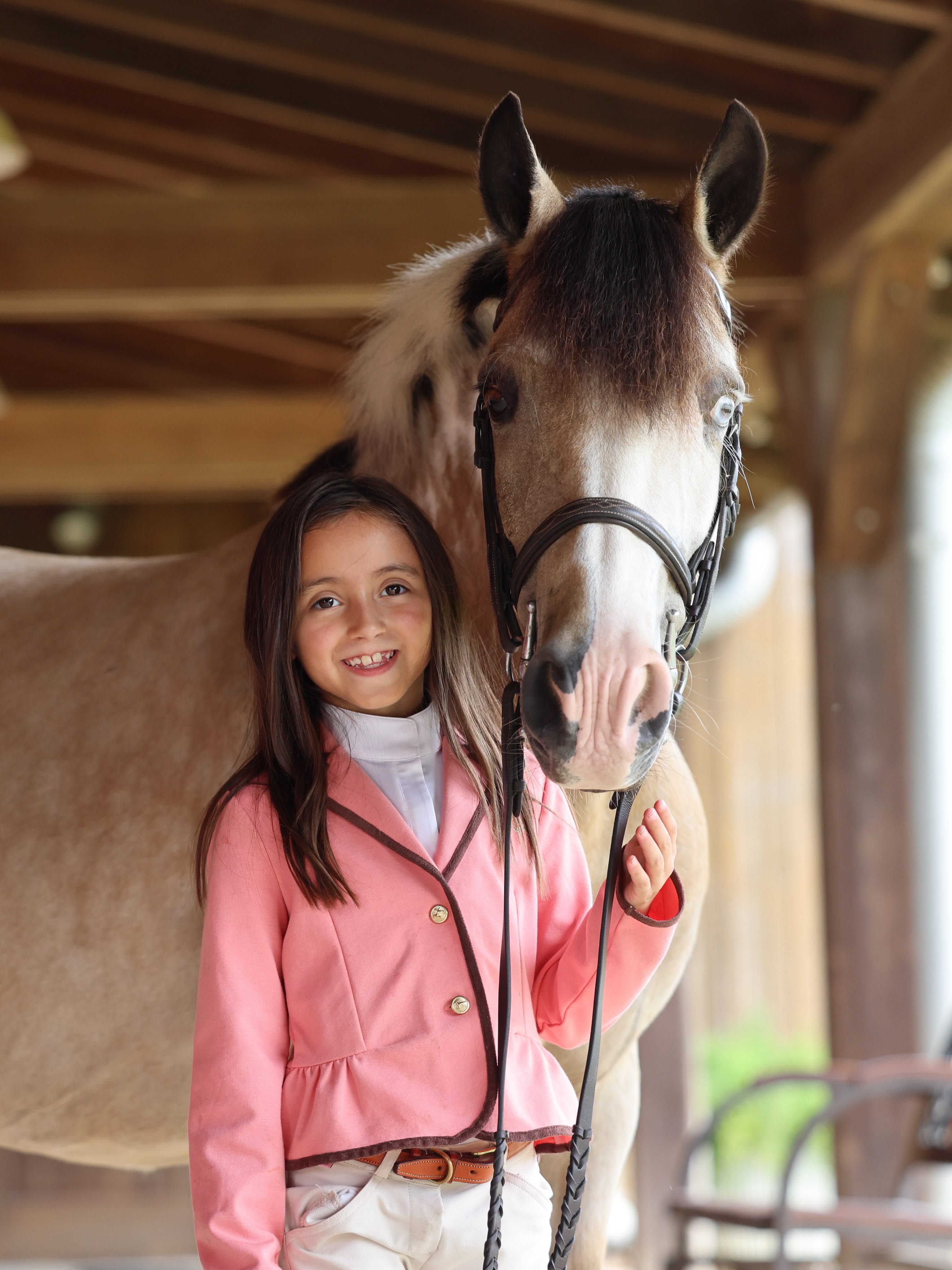 Chestnut horse with a white blaze and braided mane